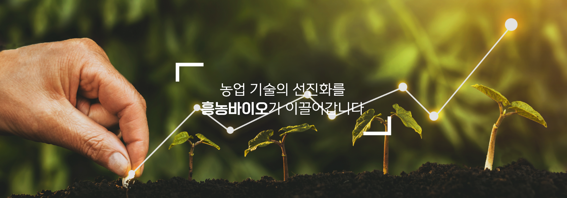 농업 기술의 선진화를 흥농바이오가 이끌어갑니다.