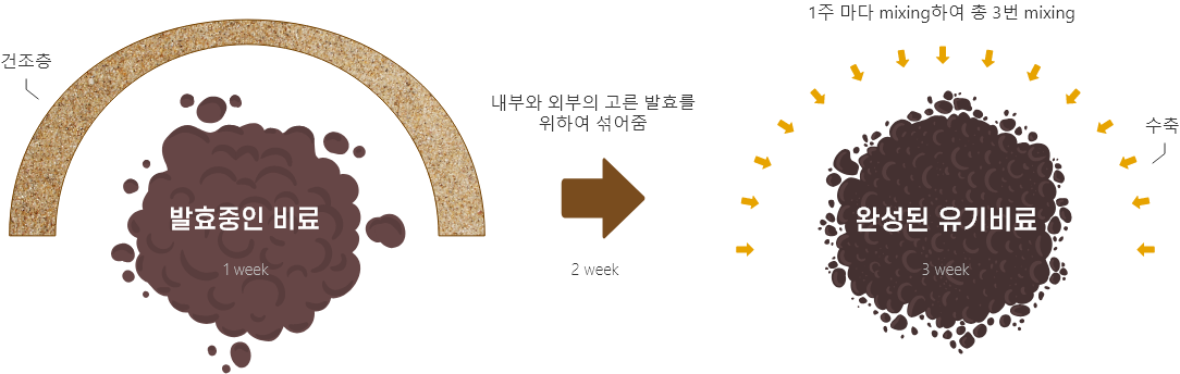 발효과정