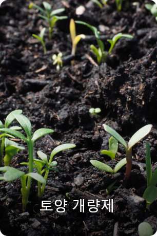 토양 개량제