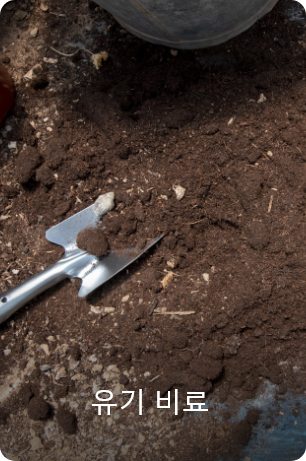 유기 비료