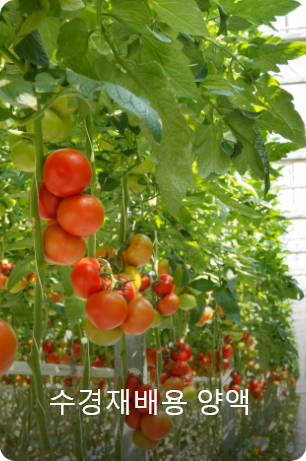 수경재배용 양액